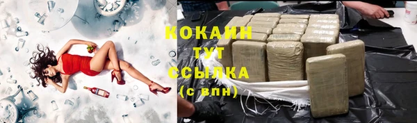тгк Алзамай