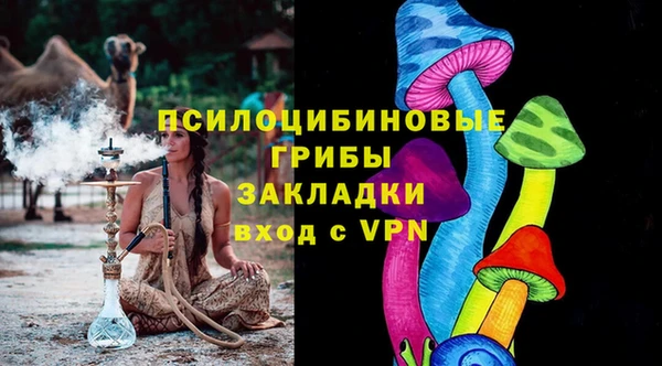 тгк Алзамай