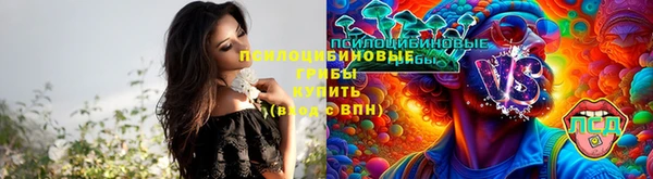 мескалин Алексин
