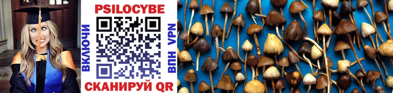 Галлюциногенные грибы Cubensis  kraken как зайти  Бабушкин  купить наркотик 